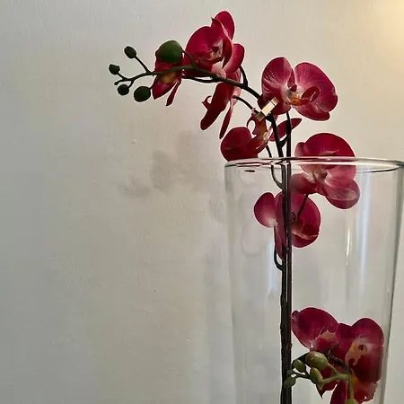 アパート La Tana Del Diego *