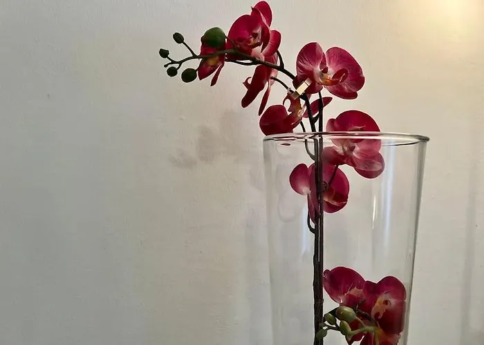 아파트 La Tana Del Diego *